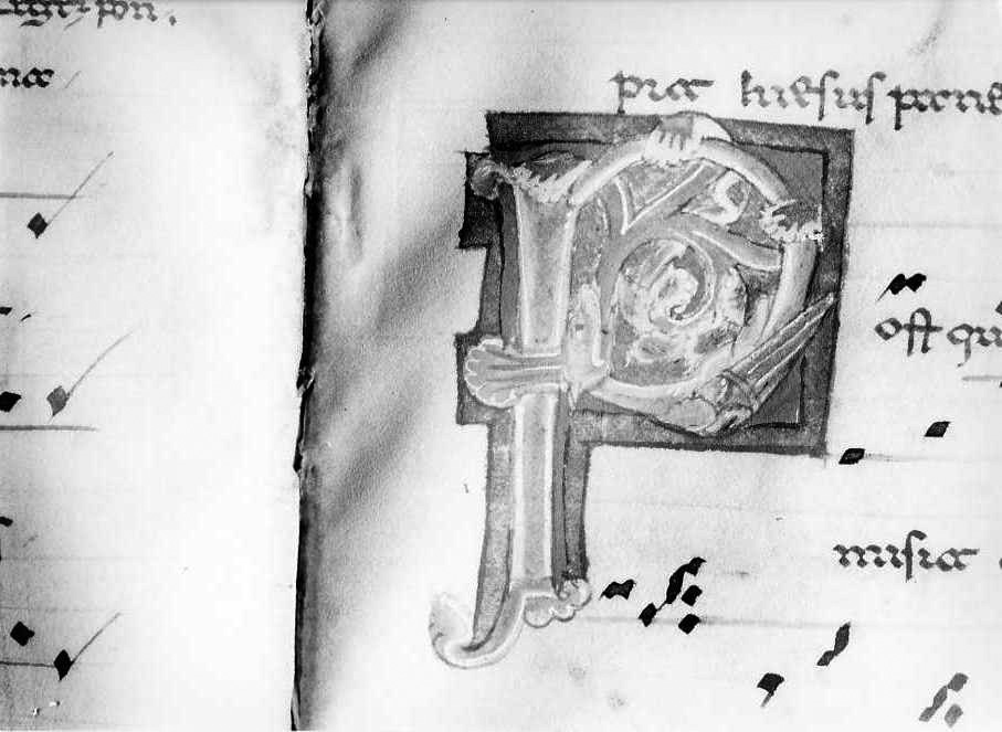 motivo decorativo fitomorfo (miniatura) - ambito cassinese (fine/inizio secc. XII/ XIII)