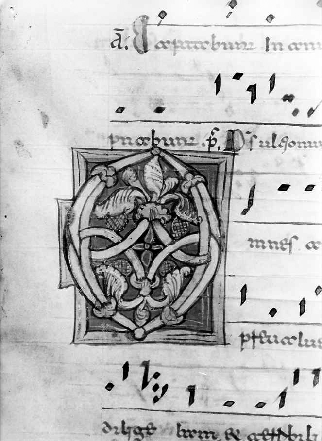 motivo decorativo fitomorfo (miniatura) - ambito cassinese (fine/inizio secc. XII/ XIII)