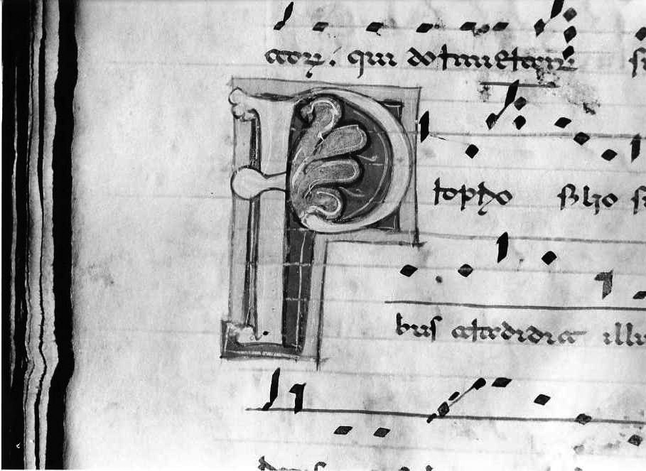 motivo decorativo (miniatura) - ambito cassinese (fine/inizio secc. XII/ XIII)