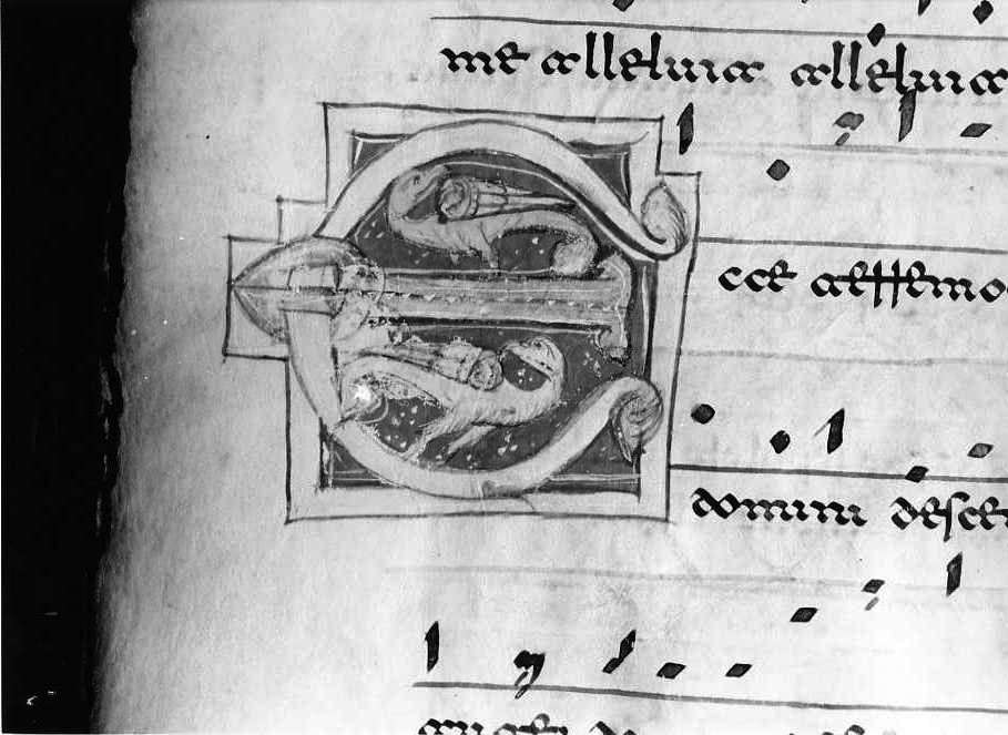 motivo decorativo zoomorfo (miniatura) - ambito cassinese (fine/inizio secc. XII/ XIII)