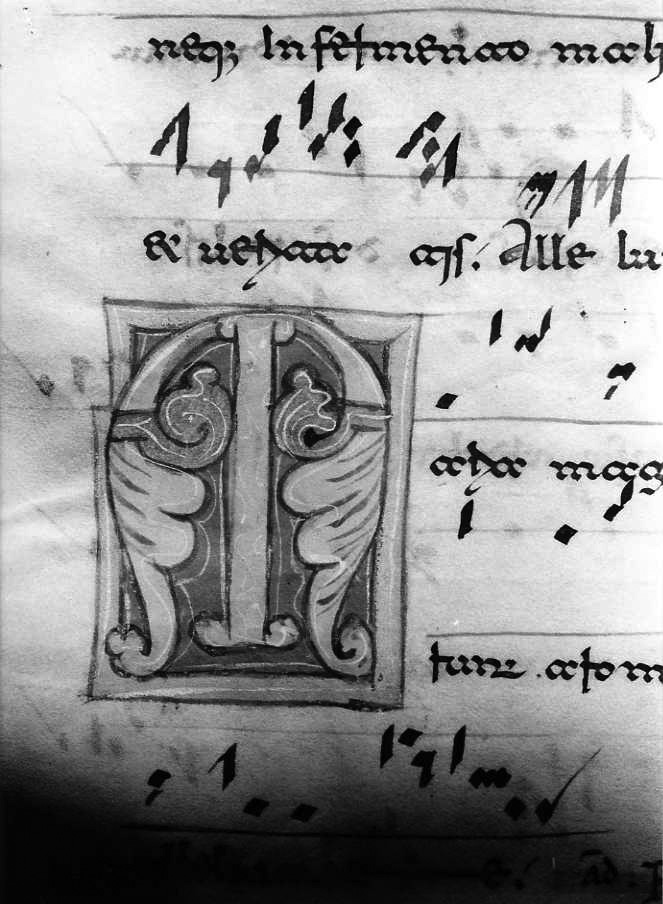 motivo decorativo fitomorfo (miniatura) - ambito cassinese (fine/inizio secc. XII/ XIII)