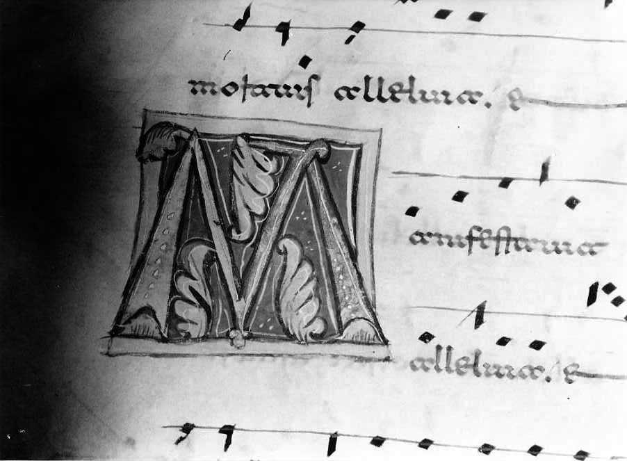 motivo decorativo (miniatura) - ambito cassinese (fine/inizio secc. XII/ XIII)