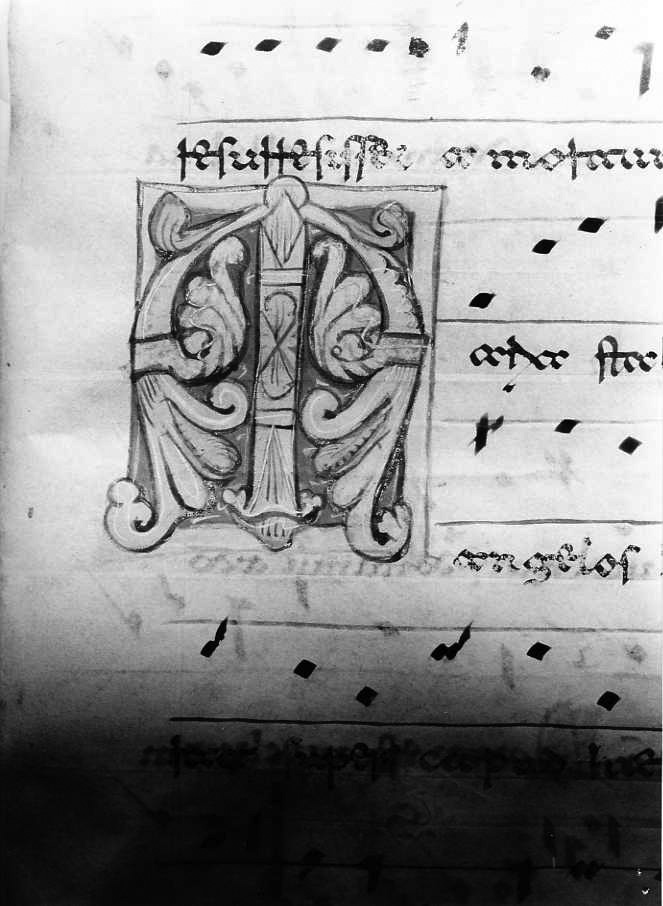 motivo decorativo fitomorfo (miniatura) - ambito cassinese (fine/inizio secc. XII/ XIII)