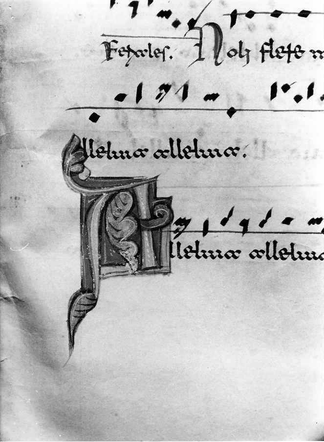 motivo decorativo fitomorfo (miniatura) - ambito cassinese (fine/inizio secc. XII/ XIII)