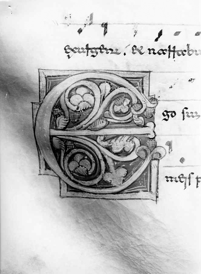 motivo decorativo fitomorfo (miniatura) - ambito cassinese (fine/inizio secc. XII/ XIII)