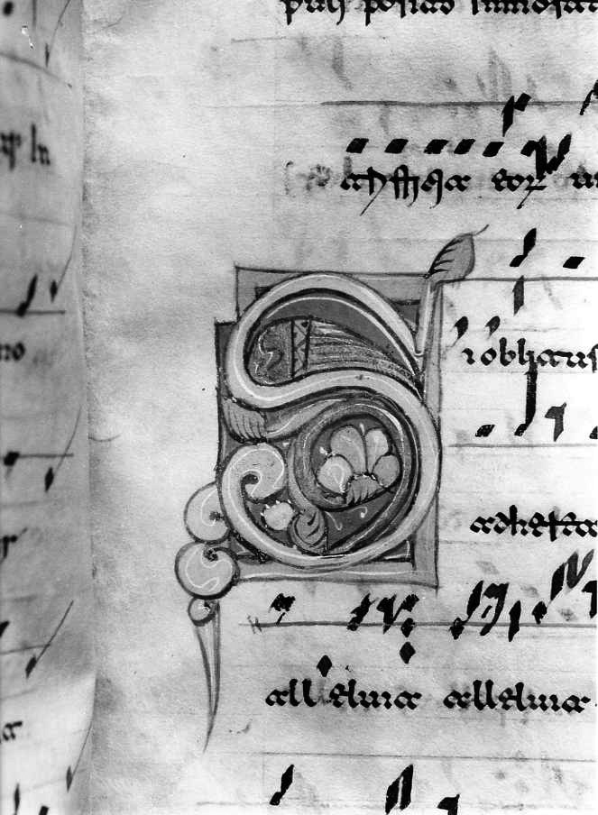 motivo decorativo fitomorfo (miniatura) - ambito cassinese (fine/inizio secc. XII/ XIII)