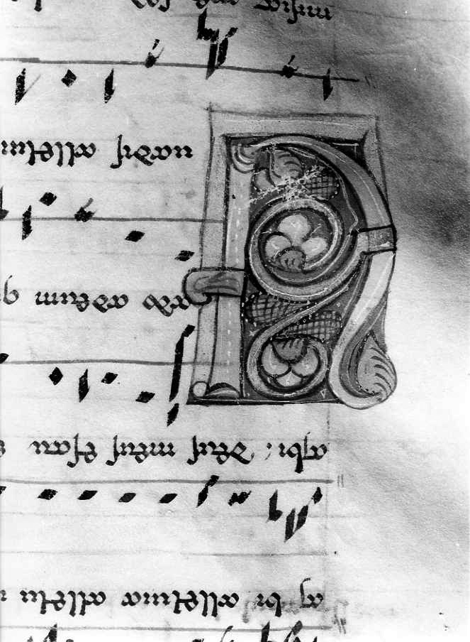 motivo decorativo fitomorfo (miniatura) - ambito cassinese (fine/inizio secc. XII/ XIII)