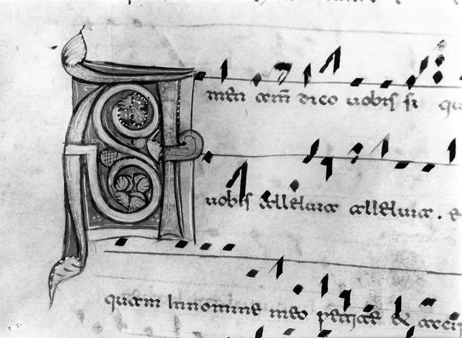 motivo decorativo fitomorfo (miniatura) - ambito cassinese (fine/inizio secc. XII/ XIII)