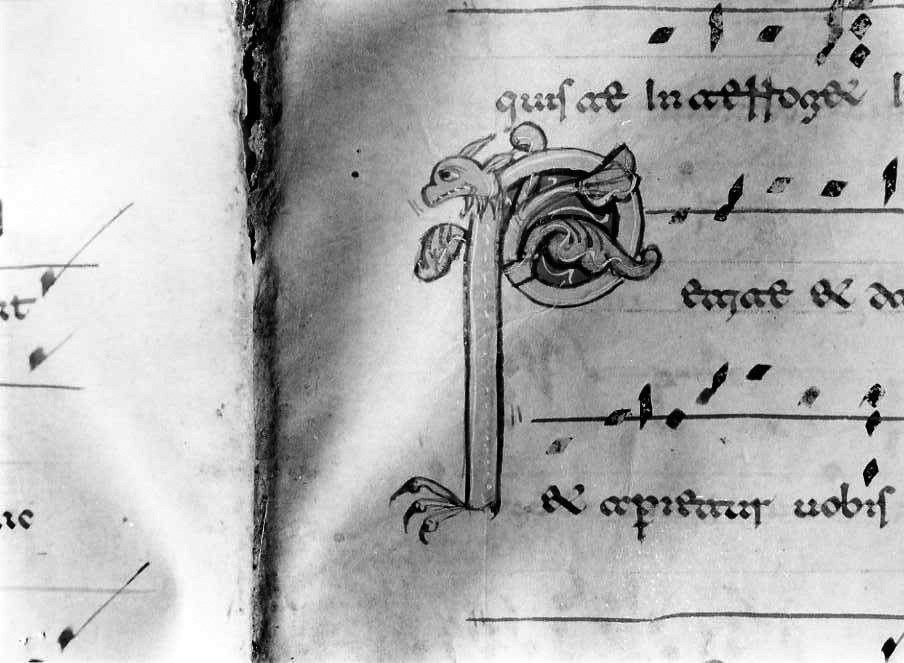 motivo decorativo zoomorfo (miniatura) - ambito cassinese (fine/inizio secc. XII/ XIII)