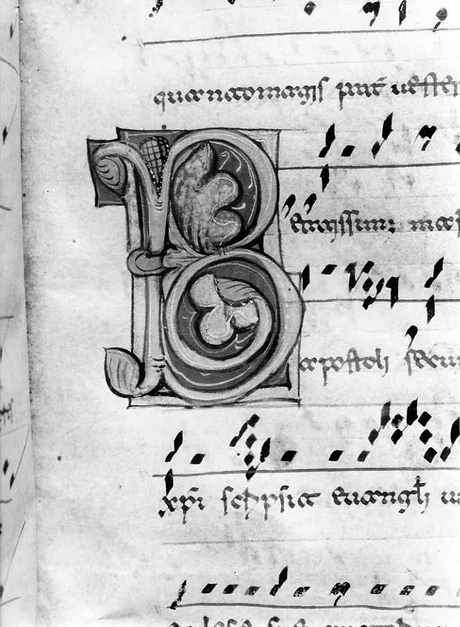 motivo decorativo fitomorfo (miniatura) - ambito cassinese (fine/inizio secc. XII/ XIII)