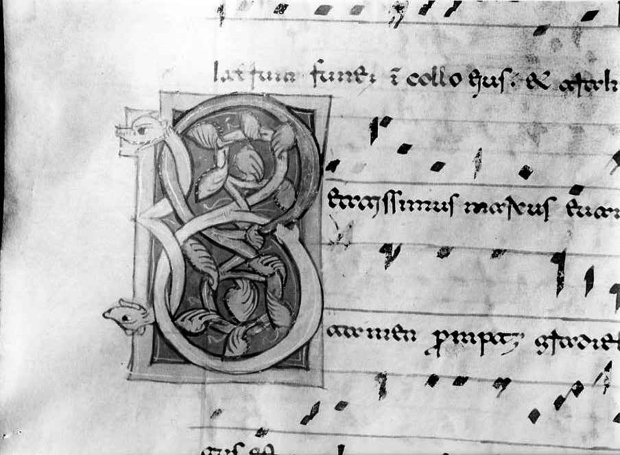 motivo decorativo zoomorfo (miniatura) - ambito cassinese (fine/inizio secc. XII/ XIII)