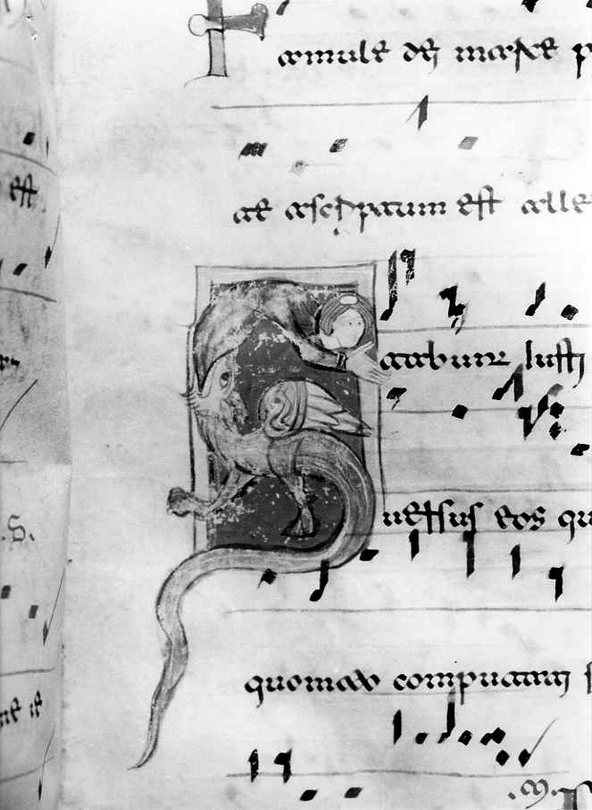 motivo decorativo zoomorfo (miniatura) - ambito cassinese (fine/inizio secc. XII/ XIII)