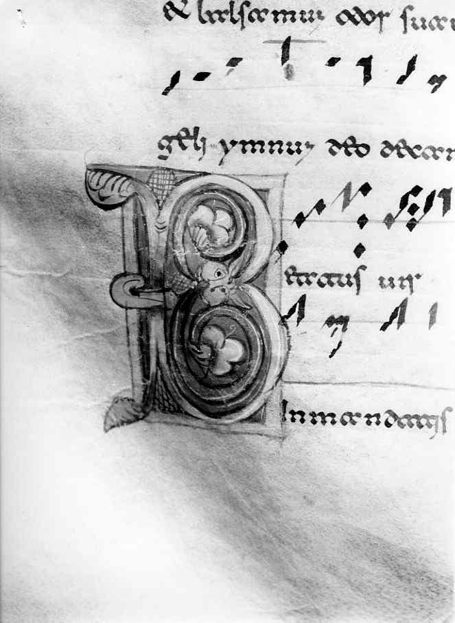 motivo decorativo fitomorfo (miniatura) - ambito cassinese (fine/inizio secc. XII/ XIII)