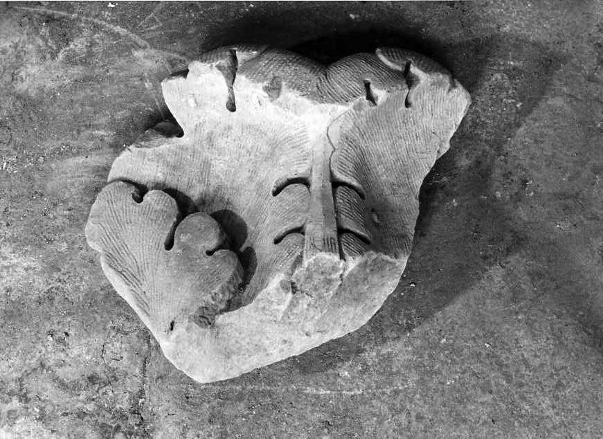 scultura, frammento - bottega campana (sec. XVIII)