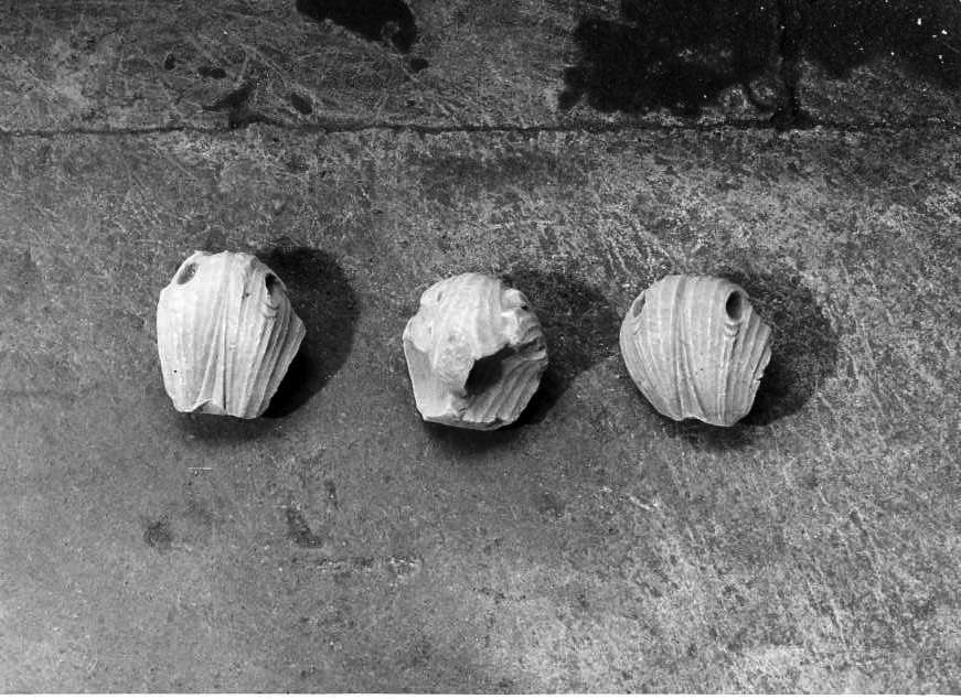 scultura, frammento - bottega campana (sec. XVIII)