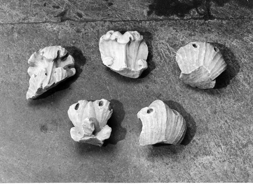 scultura, frammento - bottega campana (sec. XVIII)