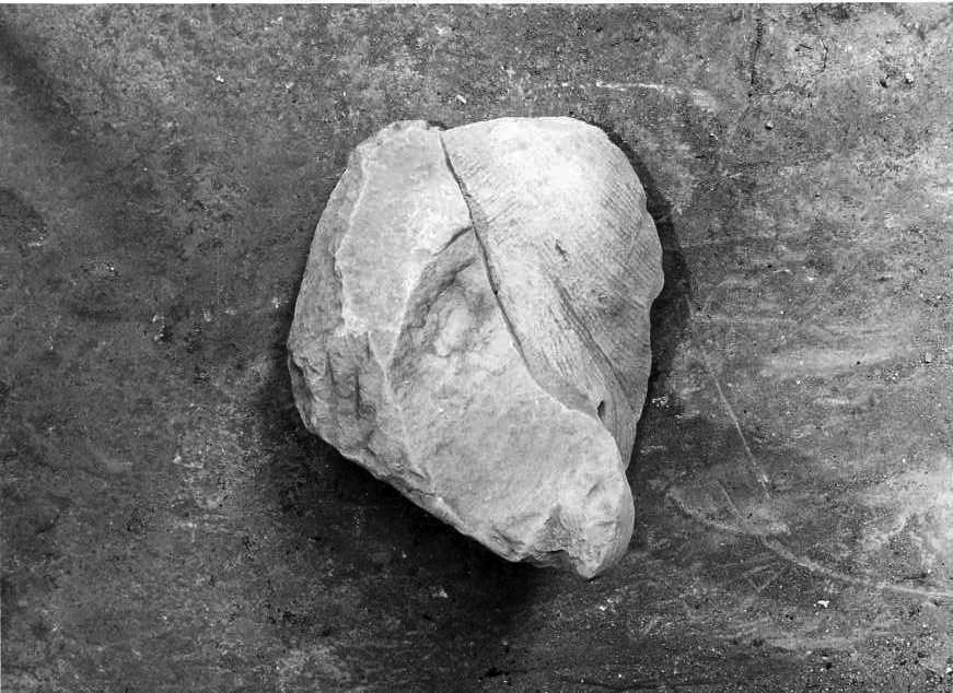 scultura, frammento - bottega campana (sec. XVIII)