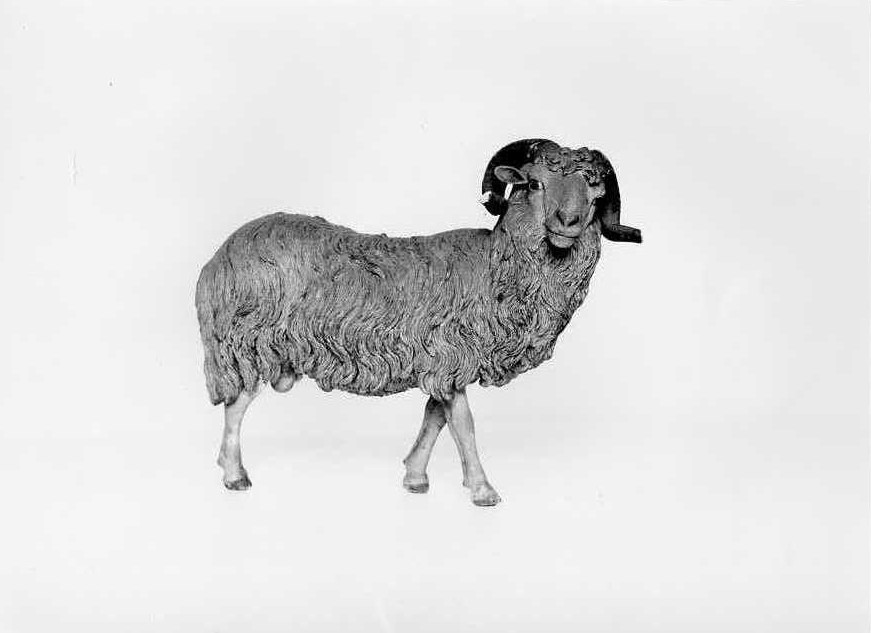 ariete (statuetta di presepio) di Vassallo Saverio (seconda metà sec. XVIII)