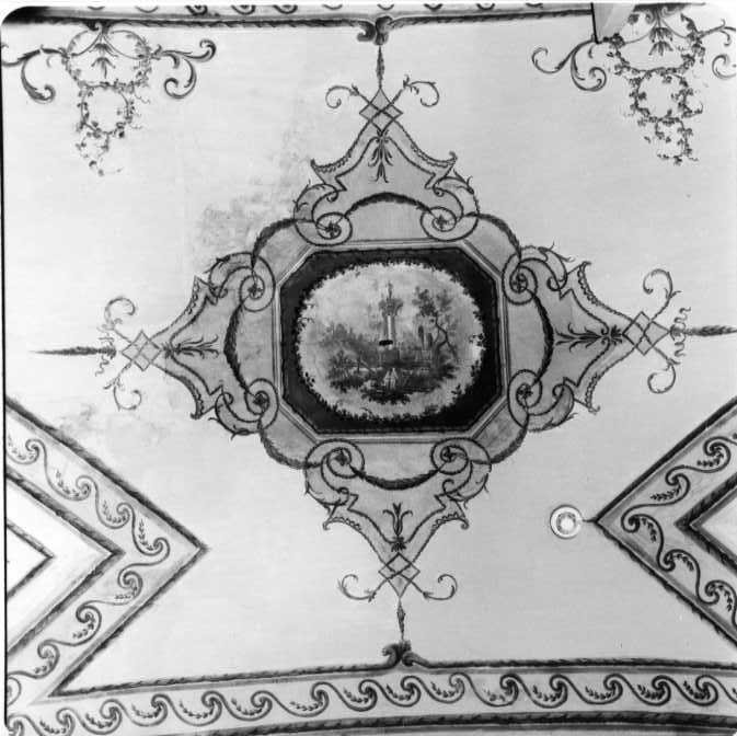 motivi decorativi vegetali (decorazione pittorica) di Magri Gaetano (sec. XVIII)