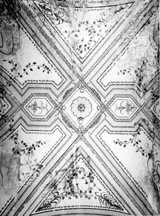 motivi decorativi vegetali (decorazione pittorica) - ambito napoletano (seconda metà sec. XVIII)