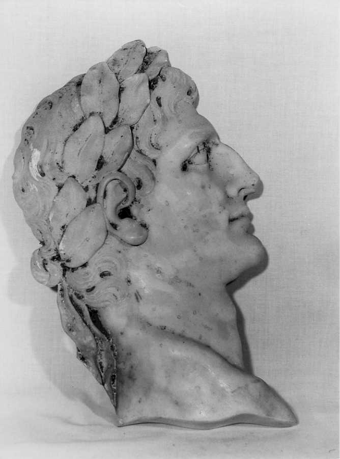 testa d'uomo di profilo (rilievo) di Beccalli Carlo (attribuito) (secondo quarto sec. XVIII)