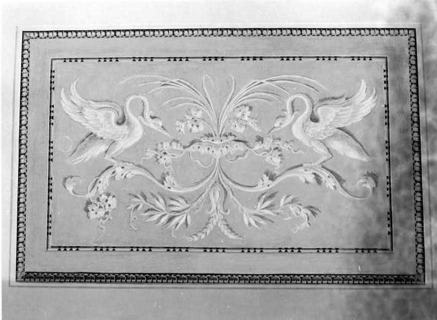 motivi decorativi vegetali con uccelli (decorazione pittorica) di Fortini Agostino (sec. XVIII)