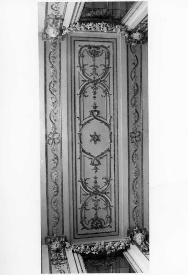 Motivi vegetali, Motivi Decorativi (dipinto, elemento d'insieme) di Fiore Gennaro (seconda metà sec. XVIII)