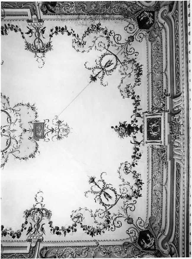 Motivi a grottesche, Motivi Decorativi (dipinto, elemento d'insieme) - bottega napoletana (seconda metà sec. XVIII)