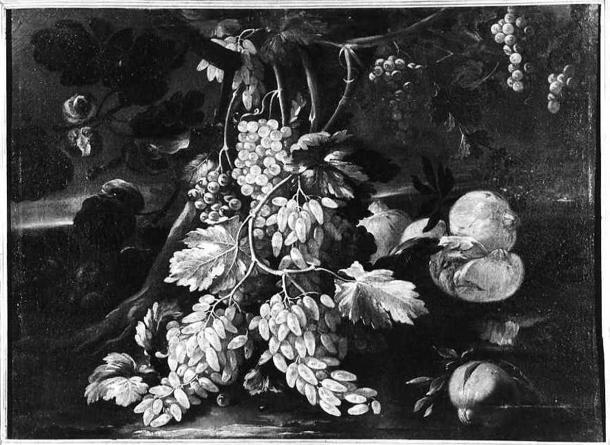 Uva, Natura Morta (dipinto, opera isolata) di Cusati Gaetano (metà sec. XVIII)