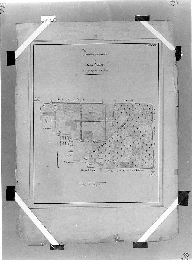 planimetria (disegno) - ambito napoletano (prima metà sec. XIX)