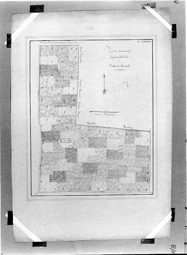 planimetria (disegno) - ambito napoletano (prima metà sec. XIX)