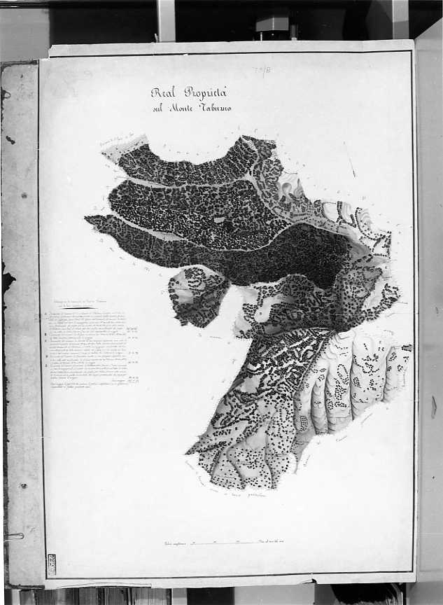 planimetria (disegno) di Paolotti Leopoldo (prima metà sec. XIX)