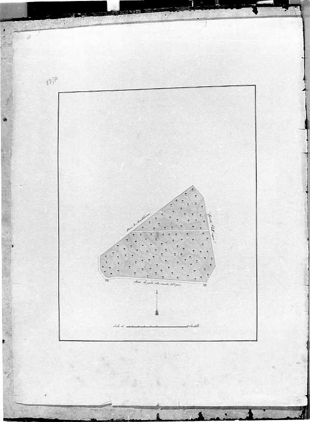 planimetria (disegno) - ambito napoletano (prima metà sec. XIX)