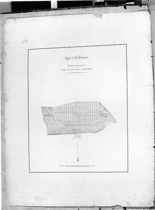 planimetria (disegno) - ambito napoletano (prima metà sec. XIX)