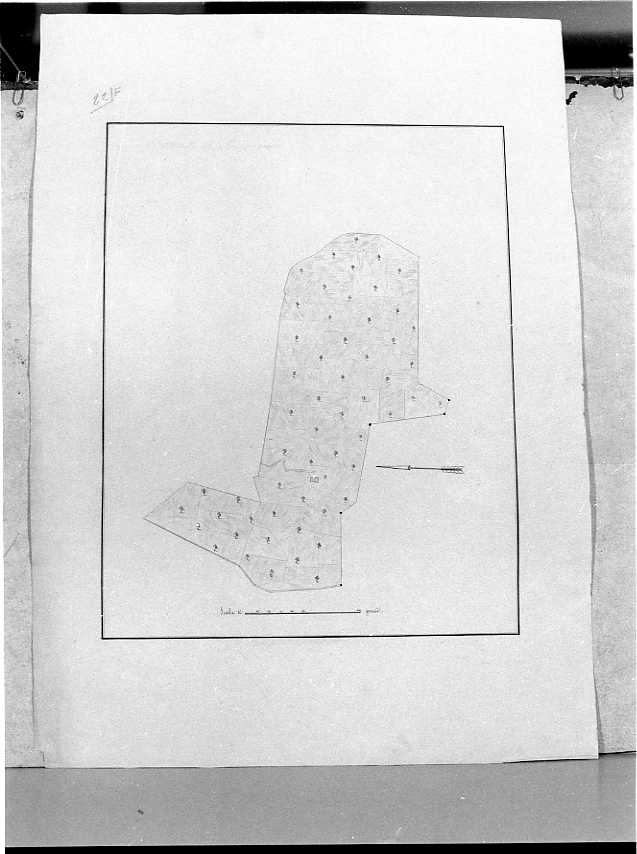 planimetria (disegno) - ambito napoletano (prima metà sec. XIX)