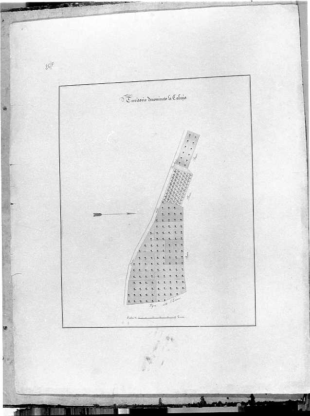 planimetria (disegno) - ambito napoletano (prima metà sec. XIX)