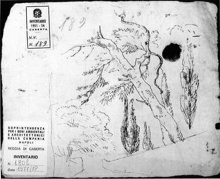 studio di alberi (disegno) di Van Wittel Gaspar (ultimo quarto sec. XVII)