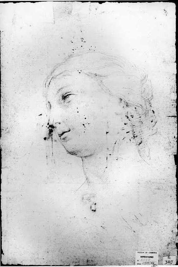 testa di donna (disegno) di Vanvitelli Luigi (metà sec. XVIII)