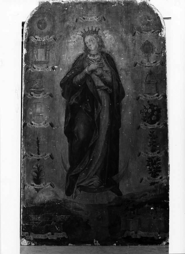 Madonna Immacolata (dipinto) di Lama Giovan Bernardo (cerchia) (seconda metà sec. XVI)