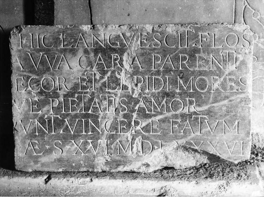 lapide - bottega campana (fine sec. XVI)