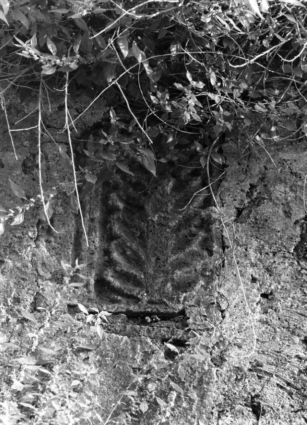 motivi decorativi vegetali (rilievo) - bottega campana (sec. XII)