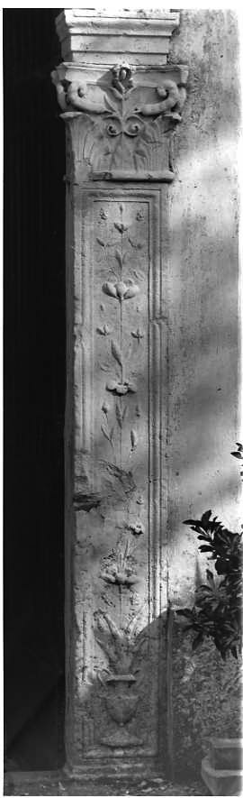 motivi decorativi (pilastro) - bottega campana (ultimo quarto sec. XV)