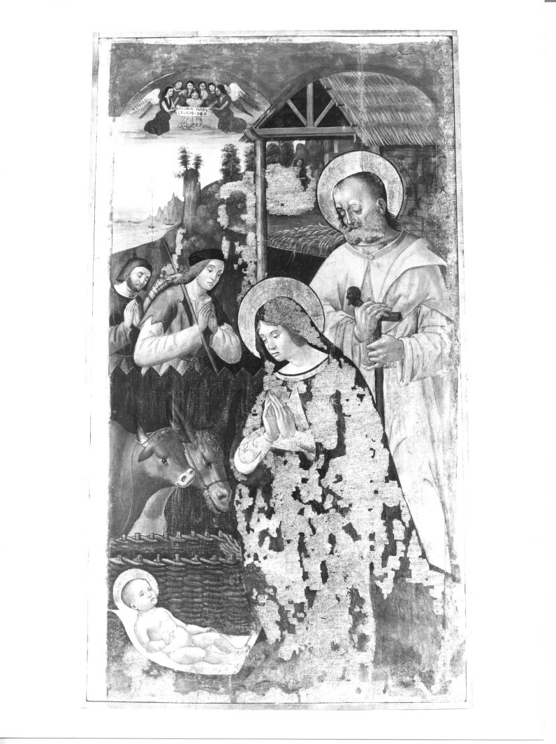 adorazione dei pastori (dipinto) di Francesco da Tolentino (sec. XVI)