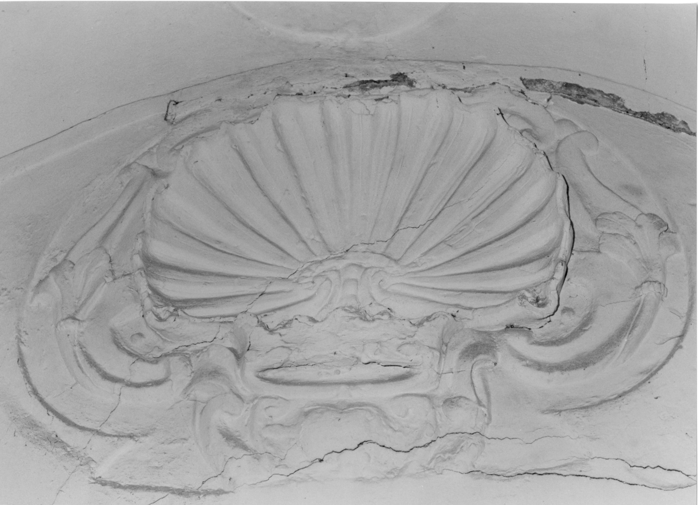 conchiglia (decorazione plastica, opera isolata) - bottega salernitana (fine/inizio secc. XVIII/ XIX)