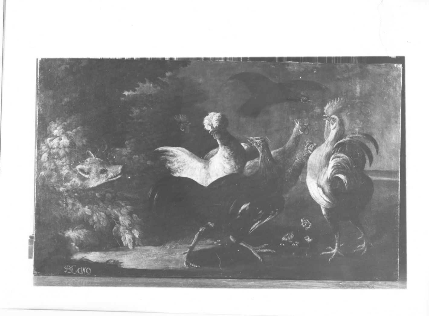 paesaggio con animali (dipinto) di De Caro Baldassarre (sec. XVIII)
