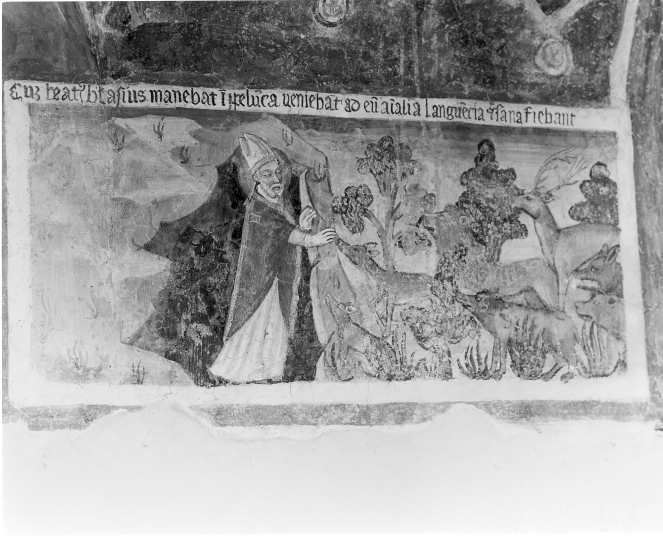 San Biagio predica agli animali (dipinto, ciclo) - ambito campano (fine/inizio secc. XIV/ XVI)