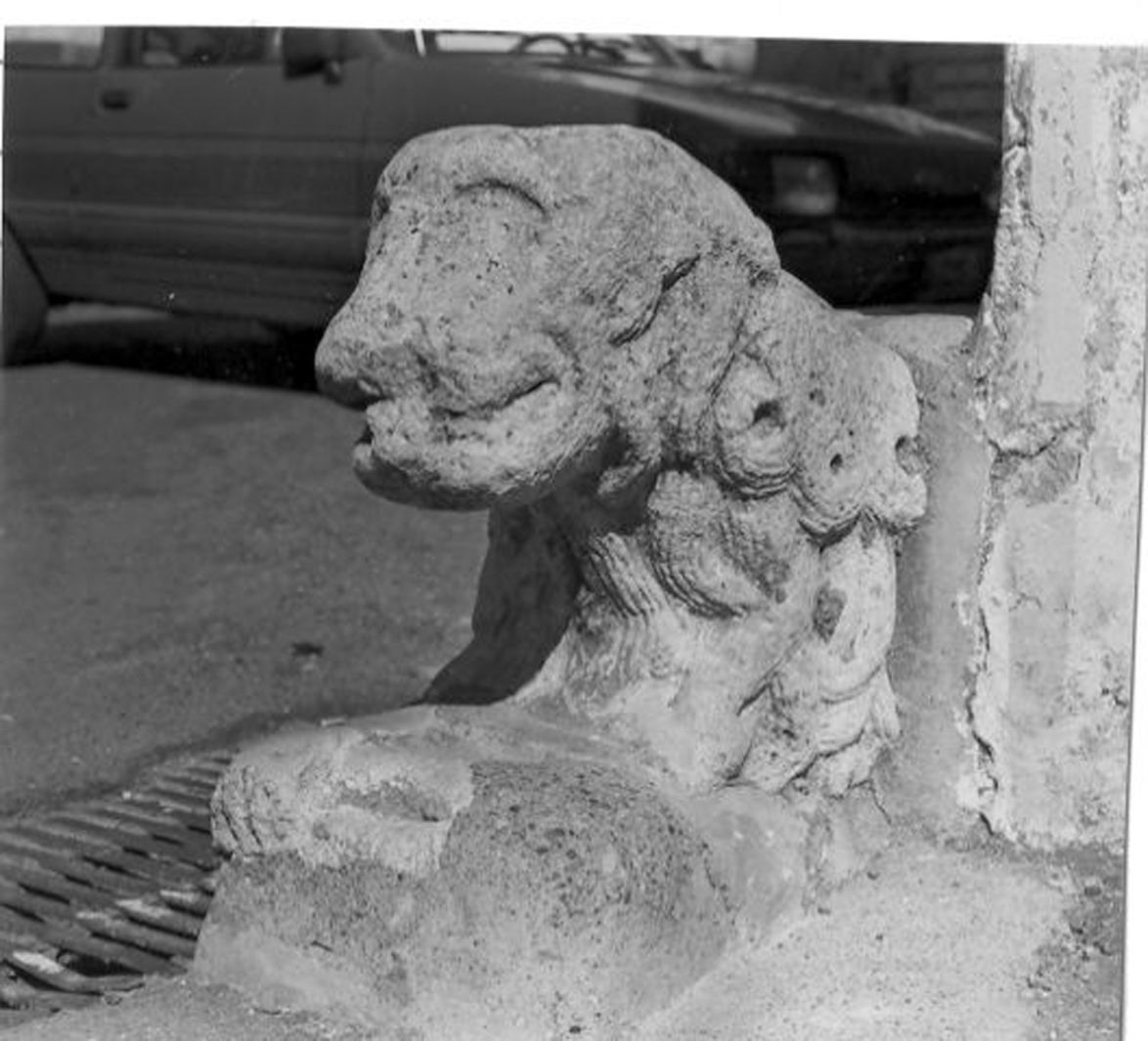 leone (scultura) - bottega campana (secc. XIII/ XIV)