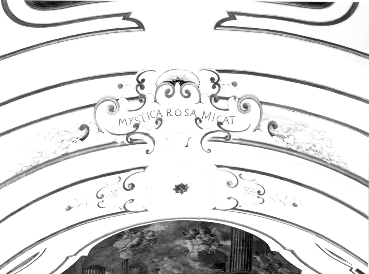 motivi decorativi a volute (decorazione plastica) - bottega campana (seconda metà sec. XVIII)