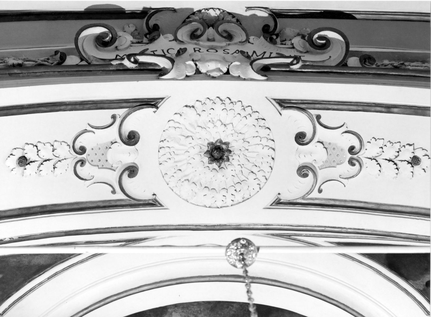 motivo decorativo fitomorfo (decorazione plastica) - bottega campana (seconda metà sec. XVIII)