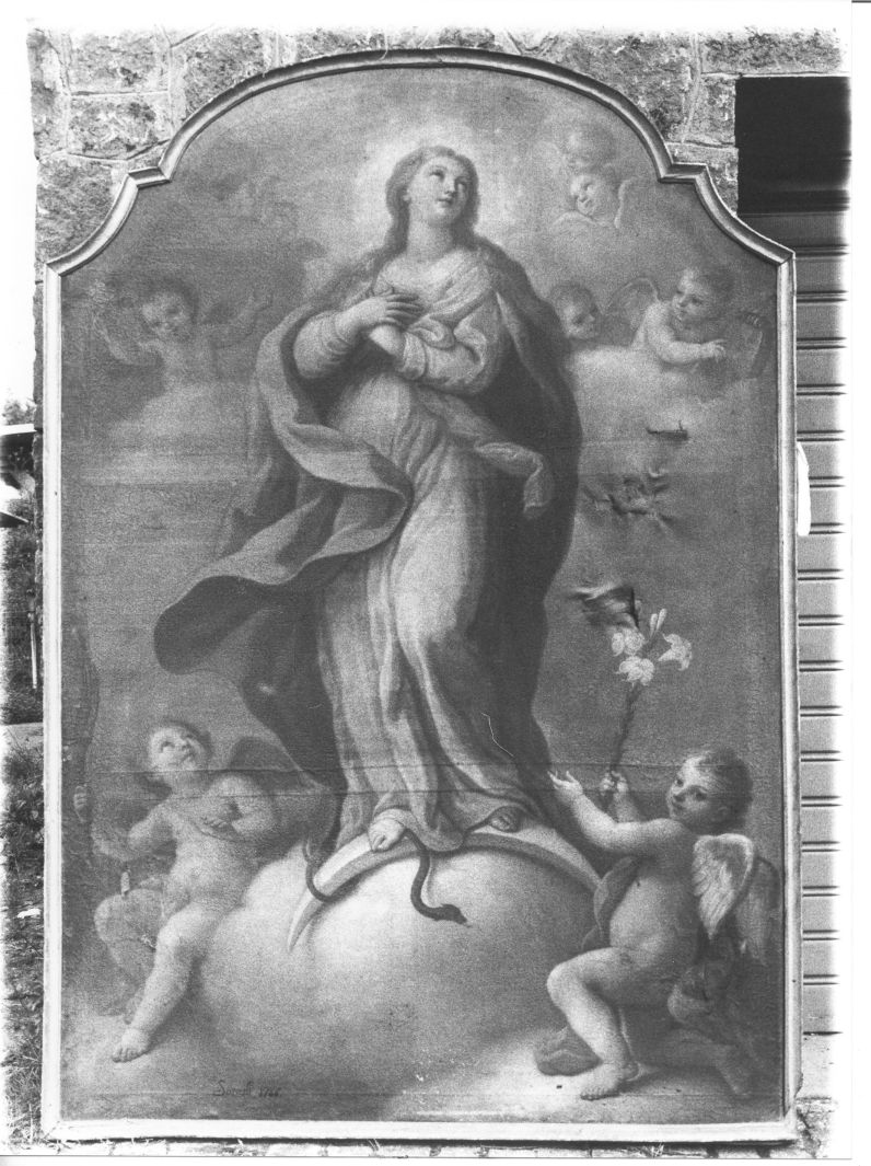 Immacolata Concezione (dipinto) di Sarnelli Antonio (sec. XVIII)